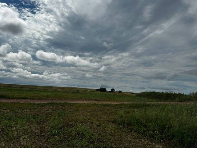 Fazenda para Venda em Corumbaíba - 4