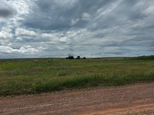 Fazenda para Venda em Corumbaíba - 5
