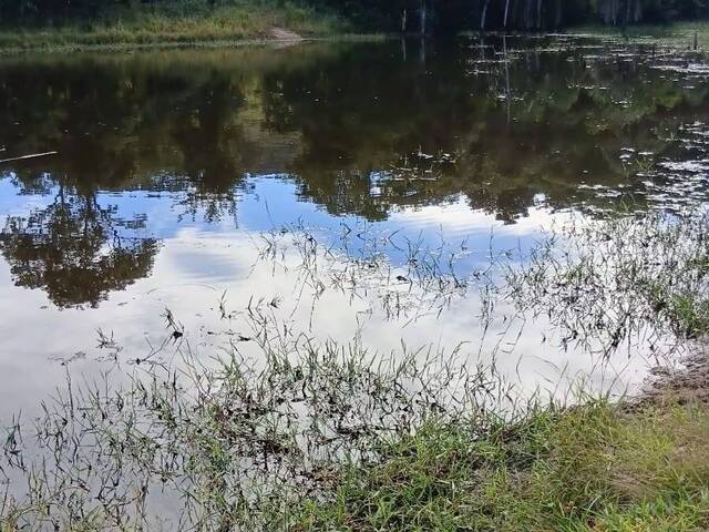Fazenda para Venda em Rianápolis - 2
