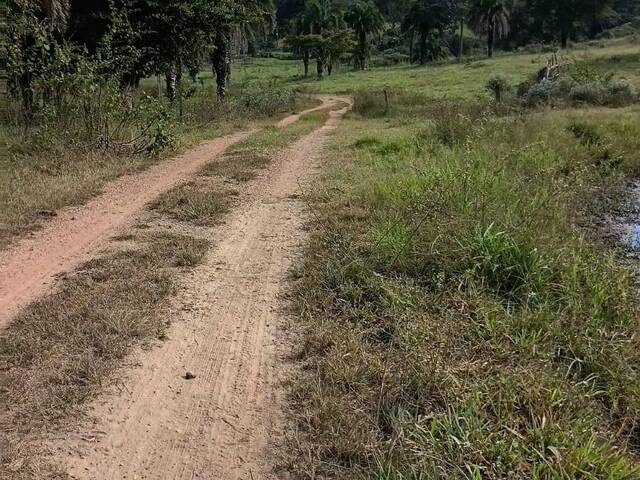 Fazenda para Venda em Rianápolis - 3