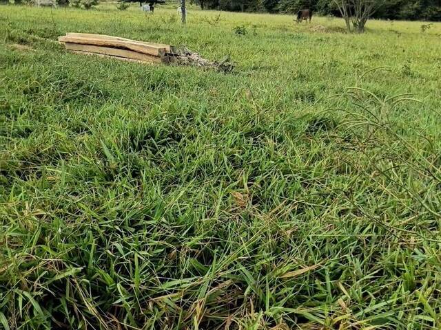 Fazenda para Venda em Rianápolis - 5