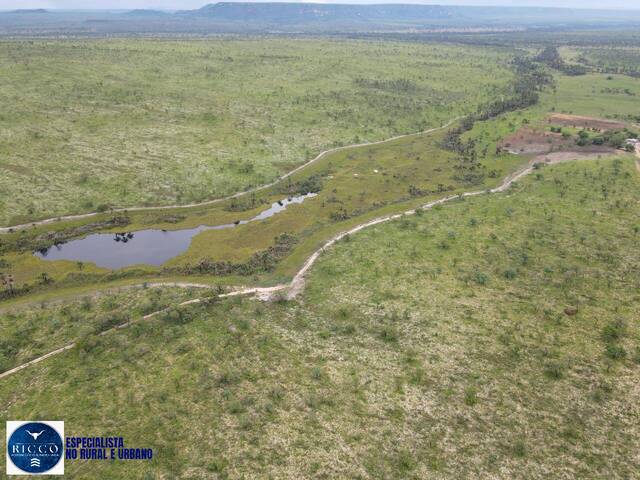 Fazenda para Venda em Dianópolis - 2