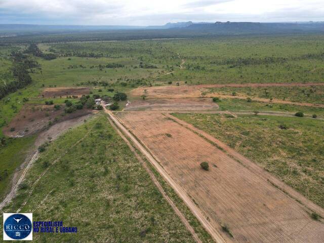 Fazenda para Venda em Dianópolis - 3