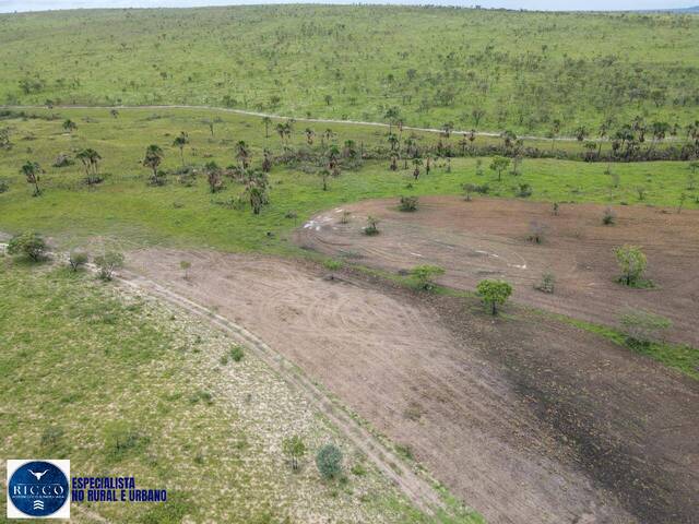 Fazenda para Venda em Dianópolis - 5