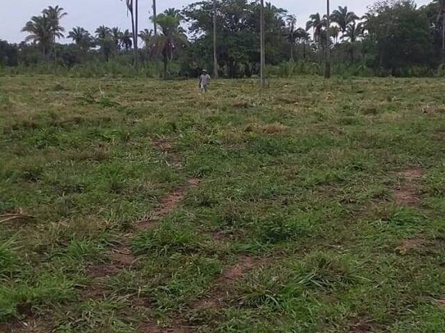 Fazenda para Venda em Filadélfia - 2