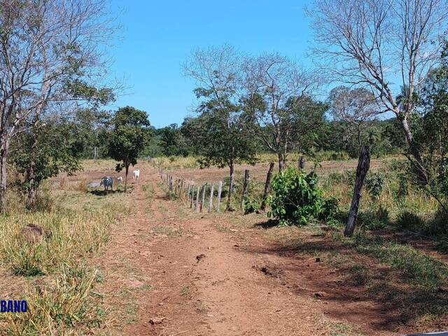 Fazenda para Venda em Filadélfia - 3