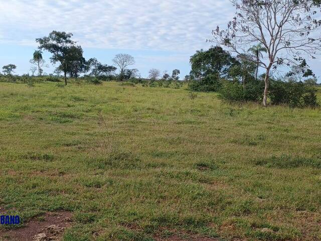 Fazenda para Venda em Filadélfia - 4