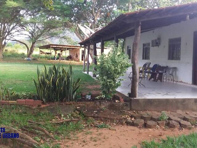 Fazenda para Venda em Filadélfia - 5