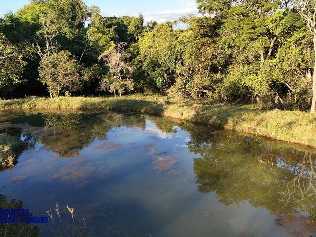 Chácara para Venda em Bela Vista de Goiás - 2