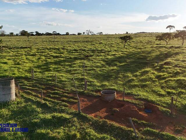 Chácara para Venda em Bela Vista de Goiás - 3