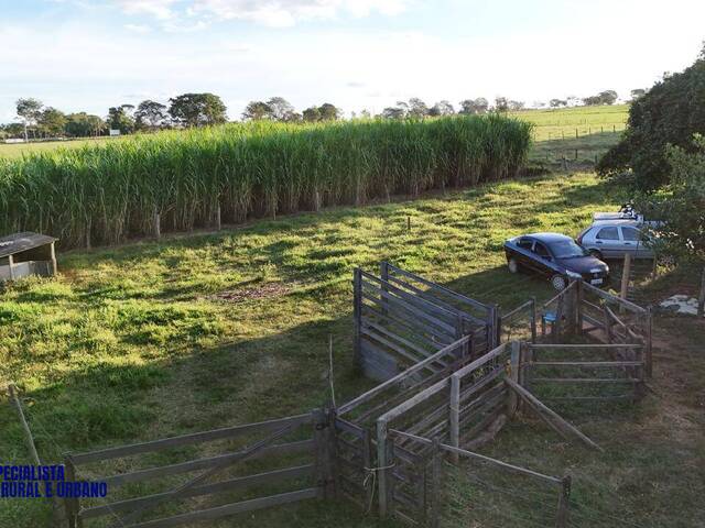 Chácara para Venda em Bela Vista de Goiás - 5