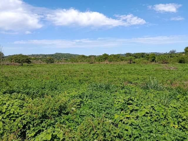 Chácara para Venda em Araçu - 4