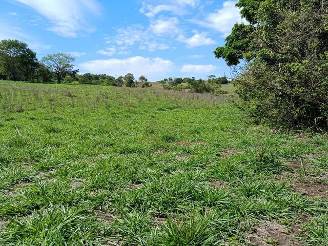 Chácara para Venda em Araçu - 5