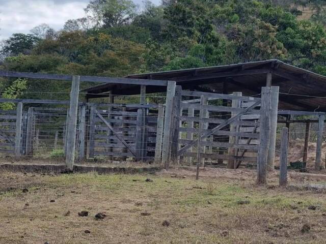 Fazenda para Venda em Pirenópolis - 2
