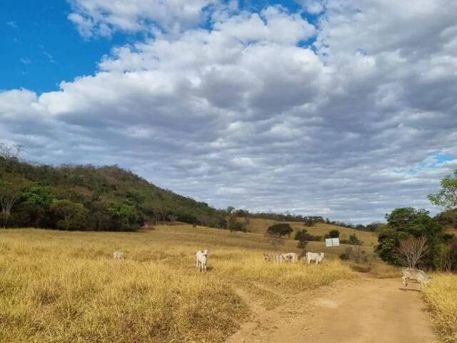Fazenda para Venda em Pirenópolis - 5