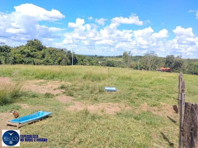 Chácara para Venda em Cezarina - 5