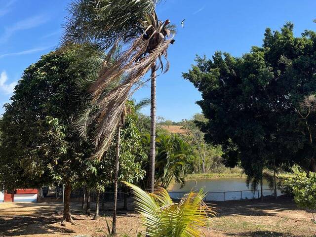 Chácara para Venda em São Miguel do Passa Quatro - 5