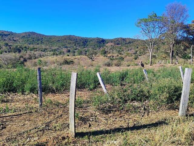 Fazenda para Venda em Hidrolândia - 2