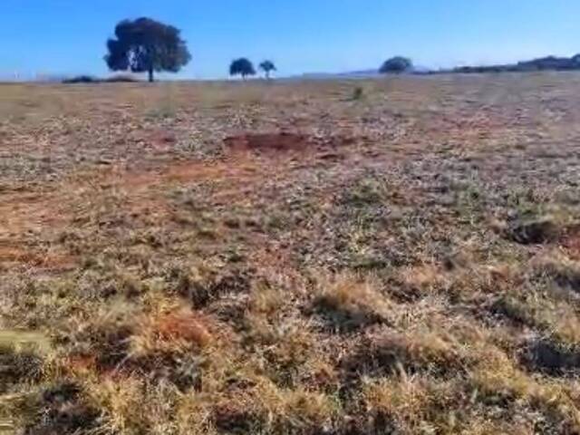 Fazenda para Venda em Hidrolândia - 5