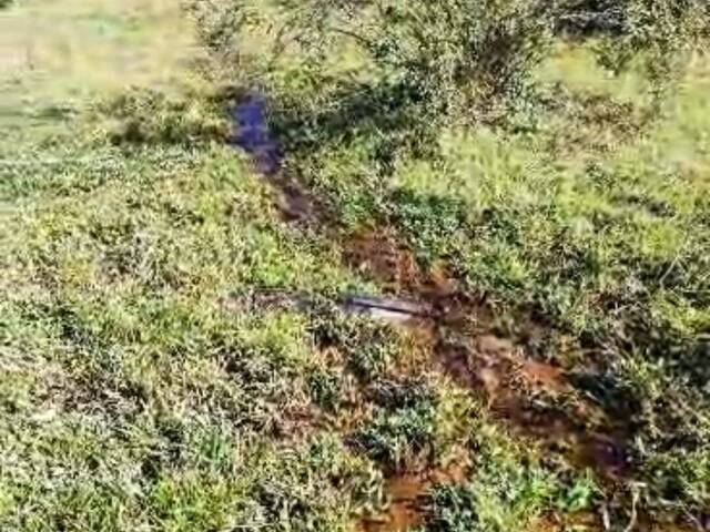 Fazenda para Venda em Hidrolândia - 4