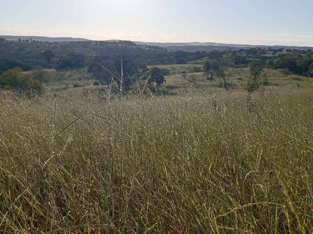 Fazenda para Venda em Ipameri - 2
