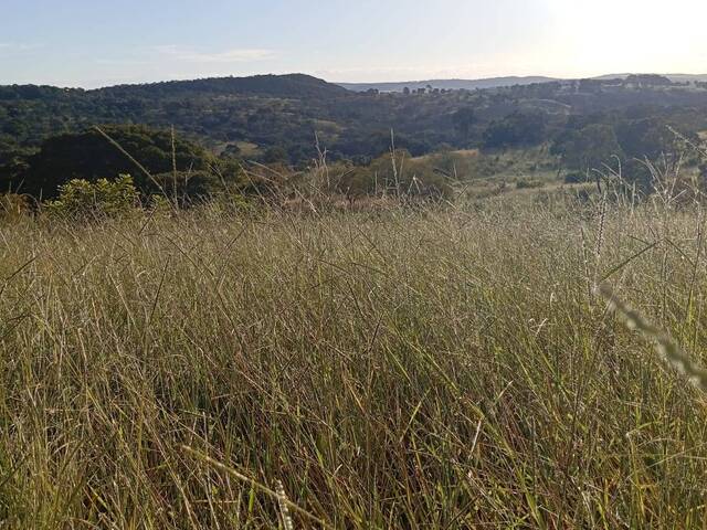 Fazenda para Venda em Ipameri - 4