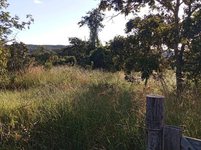 Fazenda para Venda em Ipameri - 5