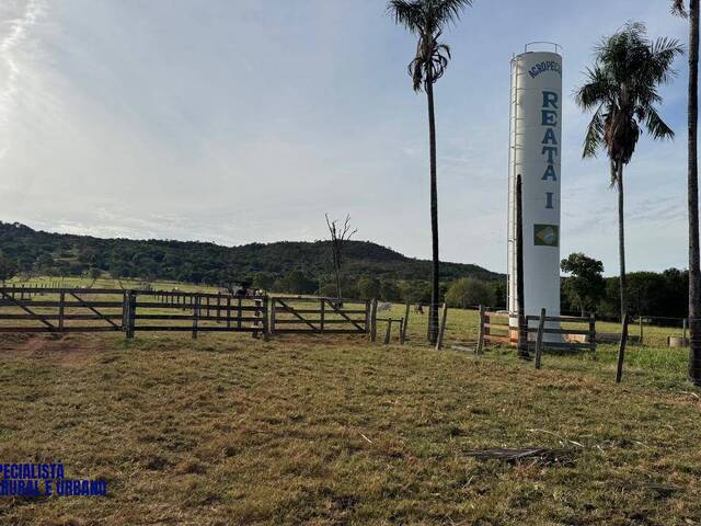 Fazenda para Venda em Arenópolis - 2