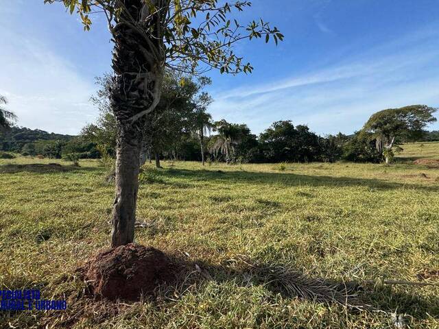 Fazenda para Venda em Arenópolis - 3