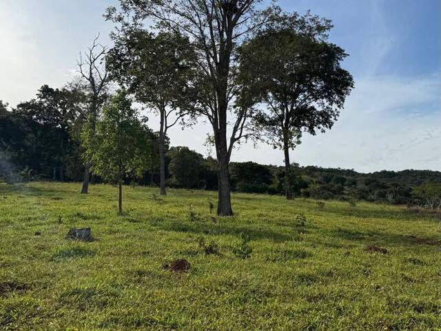 Fazenda para Venda em Arenópolis - 4