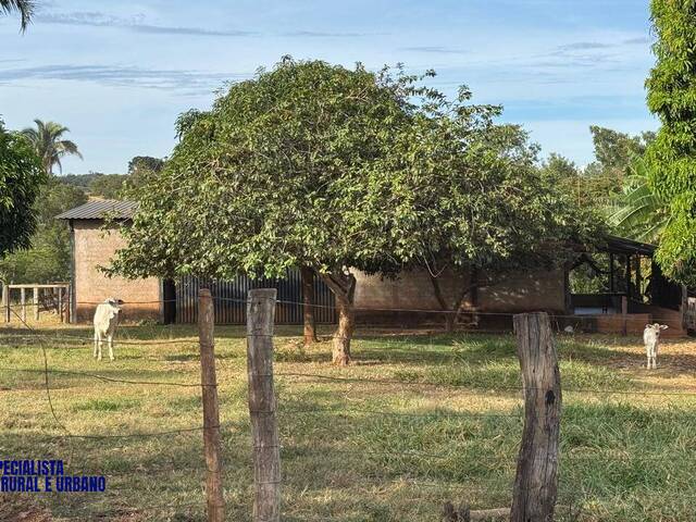 Fazenda para Venda em Arenópolis - 5