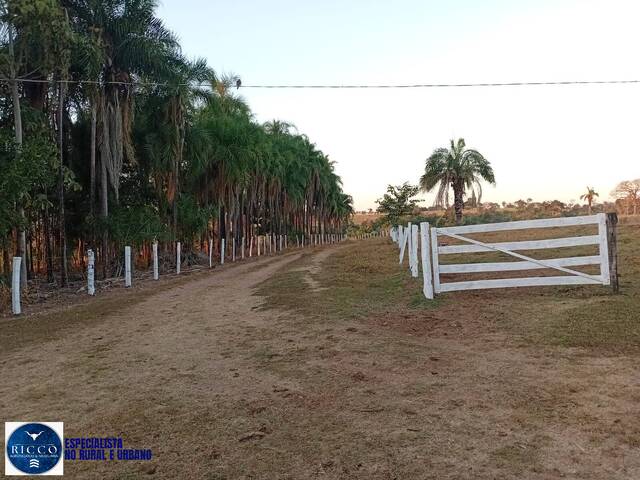 Fazenda para Venda em Córrego do Ouro - 2