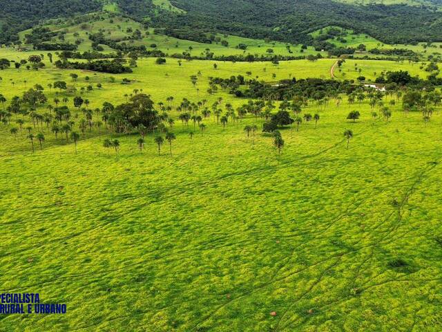 Fazenda para Venda em Córrego do Ouro - 5