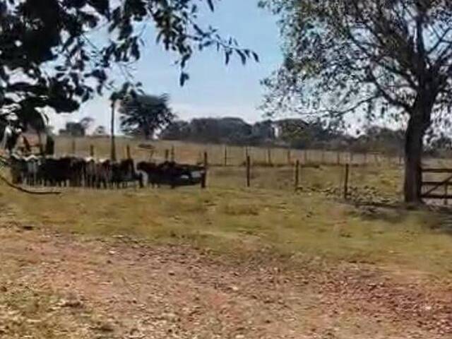 Fazenda para Venda em Sanclerlândia - 2