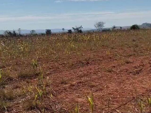 Fazenda para Venda em Sanclerlândia - 4