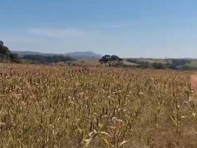 Fazenda para Venda em Sanclerlândia - 5