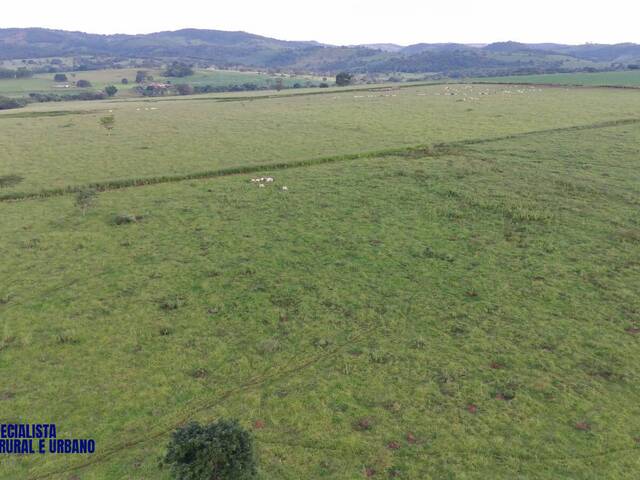 Fazenda para Venda em Petrolina de Goiás - 3