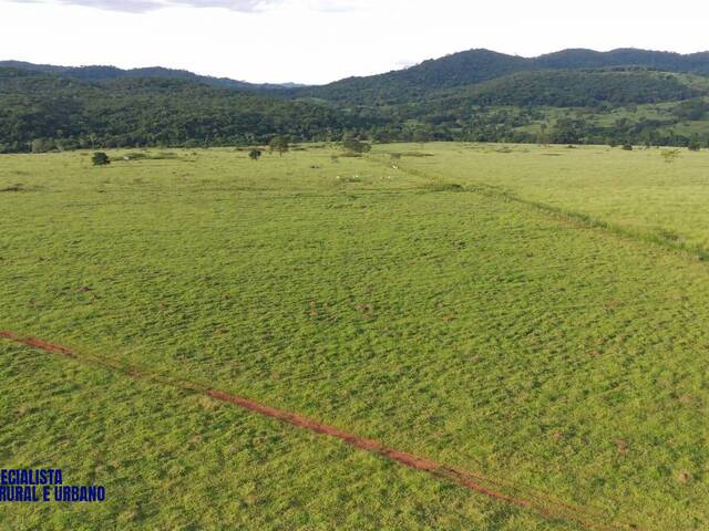 Fazenda para Venda em Petrolina de Goiás - 4