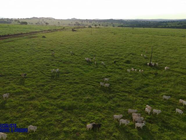 Venda em zona rural - Petrolina de Goiás