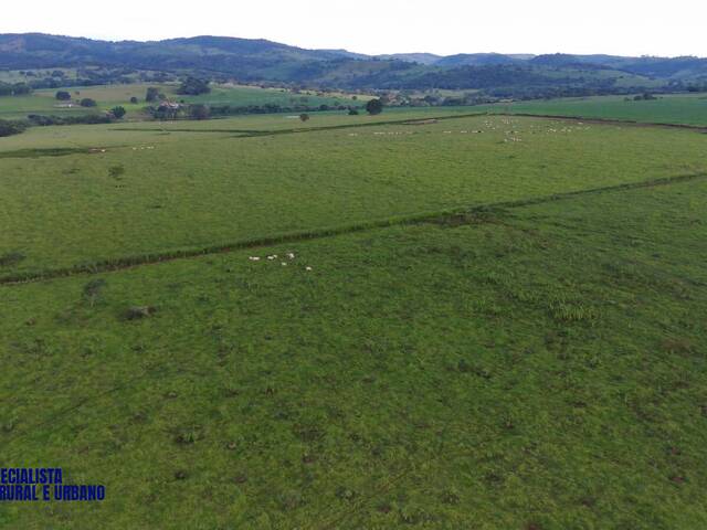 Fazenda para Venda em Petrolina de Goiás - 5