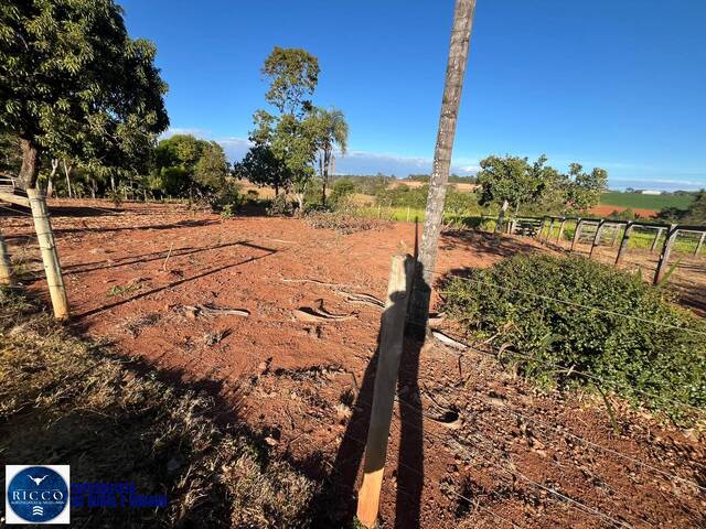 Chácara para Venda em Petrolina de Goiás - 2