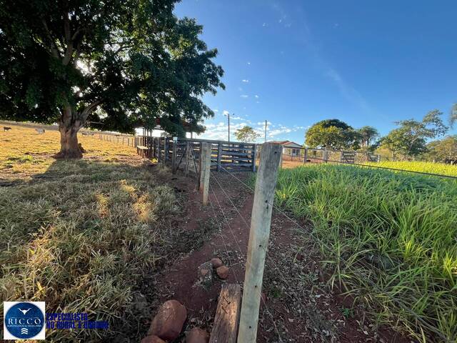 Chácara para Venda em Petrolina de Goiás - 3