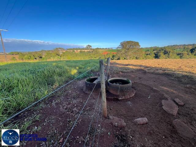 Chácara para Venda em Petrolina de Goiás - 5