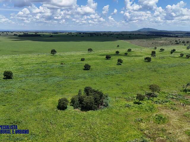 Fazenda para Venda em Montes Claros de Goiás - 2
