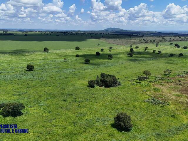 Fazenda para Venda em Montes Claros de Goiás - 3