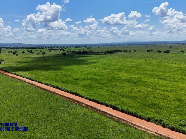 Venda em zona rural - Montes Claros de Goiás