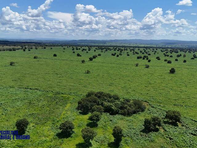 Fazenda para Venda em Montes Claros de Goiás - 5