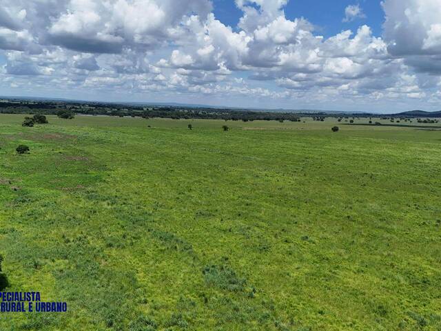 Fazenda para Venda em Montes Claros de Goiás - 4