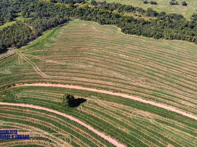 Fazenda para Venda em Montes Claros de Goiás - 2