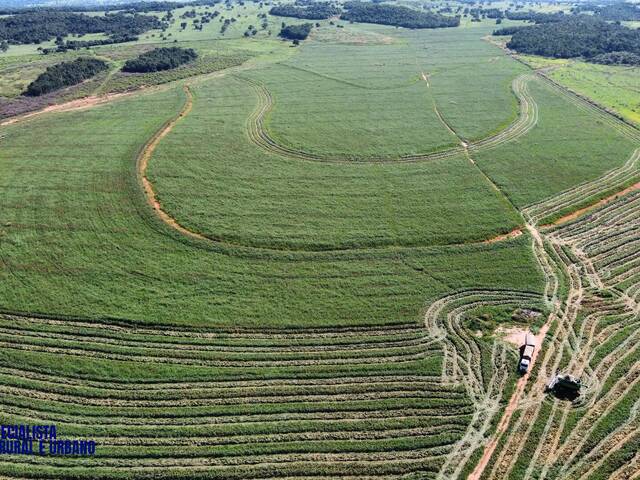 Fazenda para Venda em Montes Claros de Goiás - 3